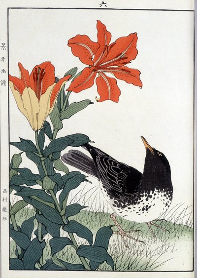 Mirlo y flores de lirio - Estampa japonesa de Japanese School