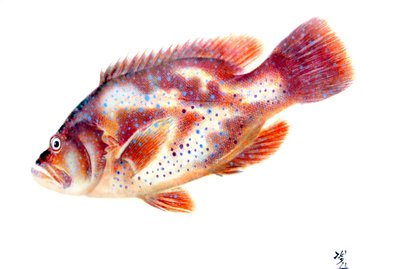 Gyotaku de Japanese School