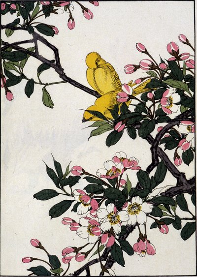 Serins en una rama de cerezo en flor - Impresión japonesa de Japanese School