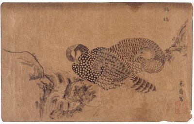 Dos pájaros de School Japanese