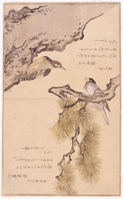 Dos pájaros en un árbol de School Japanese