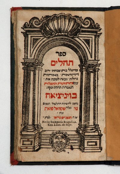 Libro de Tehilim de School Jewish
