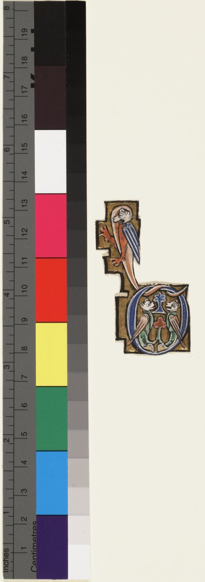 Inicial D, de un salterio-horas, c.1270 de School Mosan