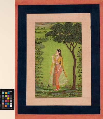 Una mujer de pie junto a un árbol, sosteniendo una flor, c.1720 de School Mughal