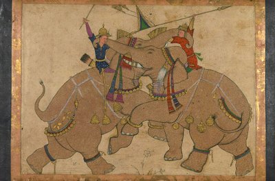 Combate de elefantes de School Mughal