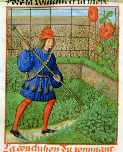 Harl 4425 f.184v El amante alcanza la rosa, del 