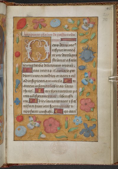 Reyes 9, f.232r, Libro de horas, uso de Sarum ("Libro de horas de Ana Bolena") (vitela) de School Netherlandish