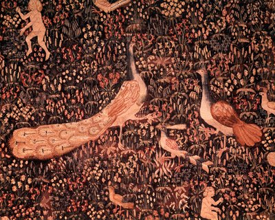 El telón de la Vida Señorial: detalle que representa pájaros, pavo real. Tapiz de lana y seda hecho alrededor de 1520 en los Países Bajos de School Netherlandish