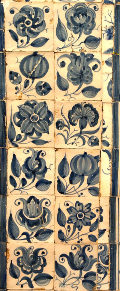 Panel que representa varias especies de flores, Tarouca, Portugal de School Portuguese