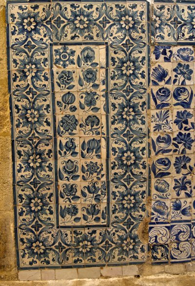 Panel que representa varias especies de flores, Tarouca, Portugal de School Portuguese