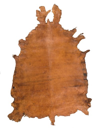 Piel de animal, c. 1786 de School Russian