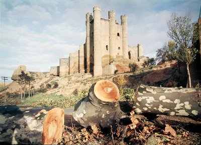 El Castillo de Coyanza, construido en los siglos XIV-XV por los Condes de Valencia de School Spanish
