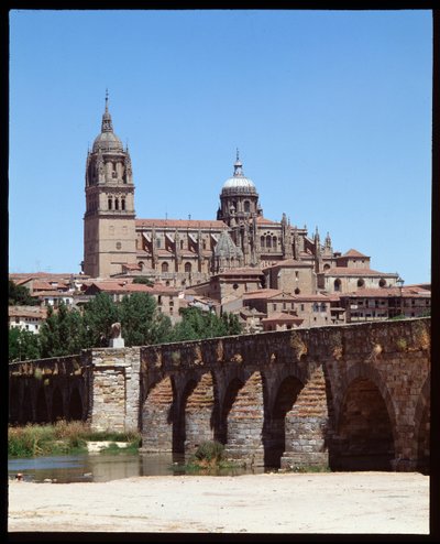 Vista del puente romano sobre el río Tormes y la catedral de School Spanish