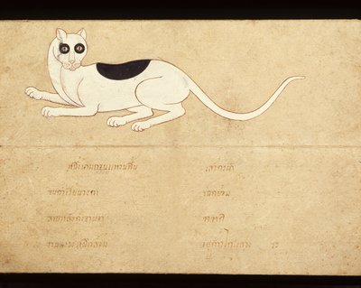 Hoja de un manuscrito sobre gatos siameses, principios del siglo XX (acuarela sobre papel) de School Thai