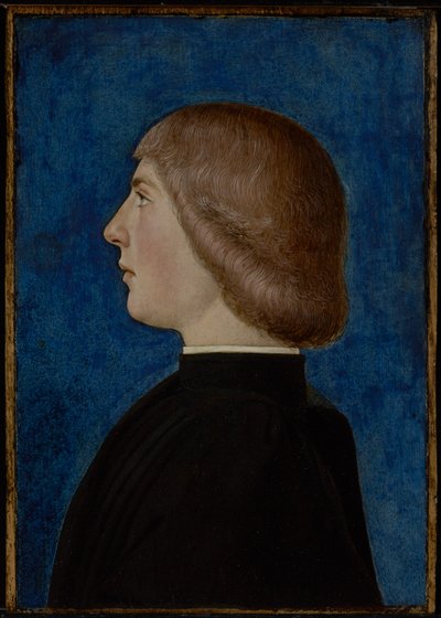 Retrato de joven, segunda mitad del siglo XV (óleo y temple sobre tabla) de School of Ferrare