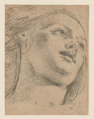 Estudio de cabeza femenina mirando hacia arriba a la derecha (recto); Estudio de dos figuras sosteniendo un objeto (verso) de School of Guido Reni