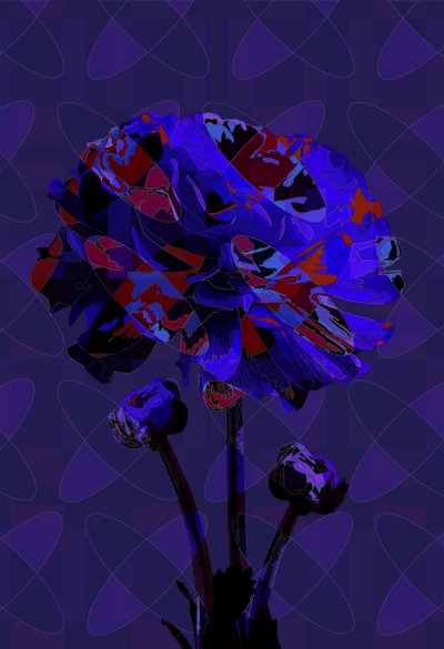 Clavel,3 2019 de Scott J. Davis