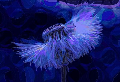 Diente de León, 2019 de Scott J. Davis