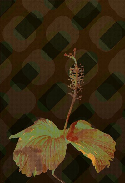 Hibiscus,2 2019 de Scott J. Davis