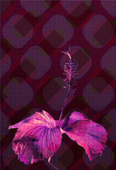 Hibiscus3, 2019 de Scott J. Davis