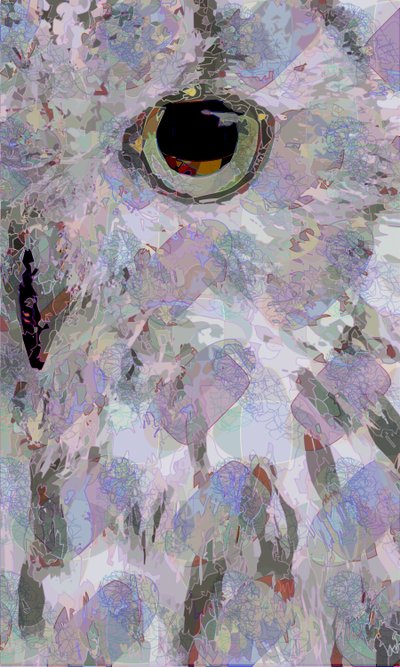 Búho3 de Scott J. Davis