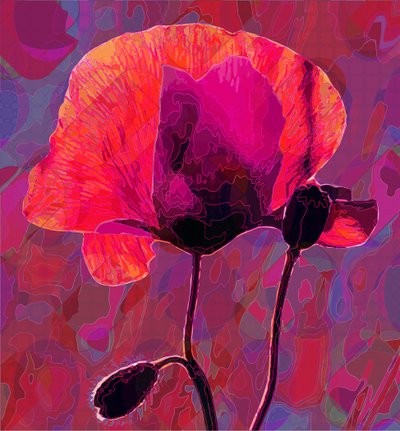 Amapola de Scott J. Davis