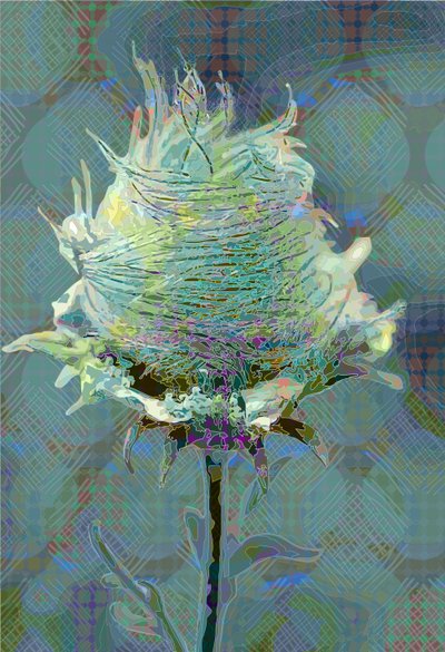 Avens3 de madera, 2019 de Scott J. Davis