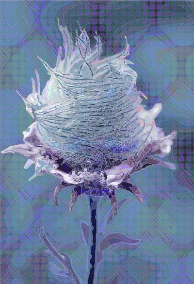 Avens4 de madera, 2019 de Scott J. Davis