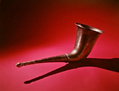 Cuerno para beber con remate en forma de cabeza de león de Scythian