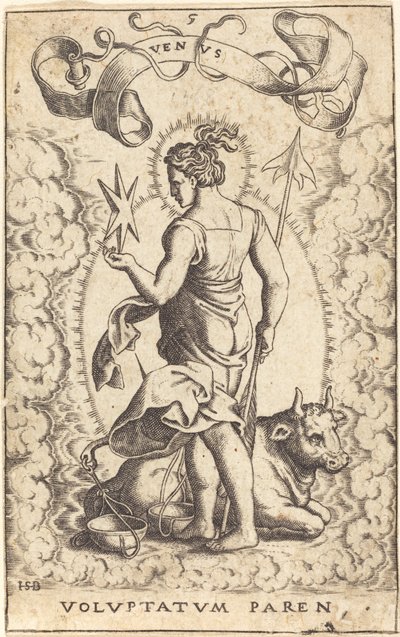 Venus de Sebald Beham