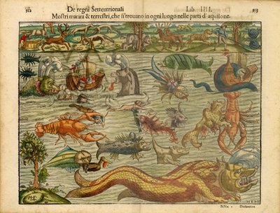  de Sebastian & Magnus Olaus (1490-1557) Münster