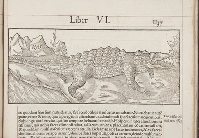 Cosmographia, Fol 1137, 1544 de Sebastian Munster