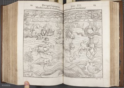 Cosmographia, Fol 852-853, 1544 de Sebastian Munster