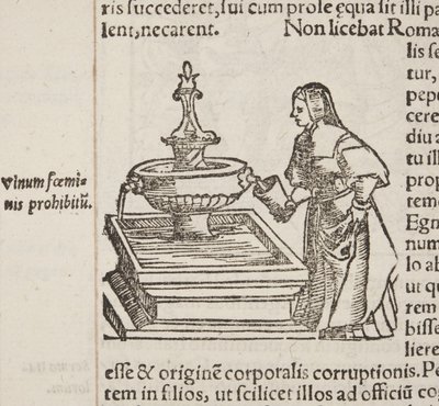 Cosmographia, detalle (Fol 202) de Sebastian Munster
