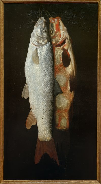 Naturaleza muerta de peces de Sebastian Stosskopf