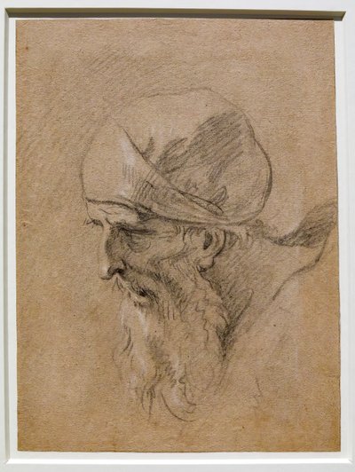Cabeza de anciano de Sebastiano Ricci