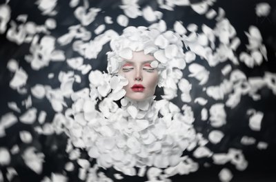El sueño de los pétalos blancos de See Plus