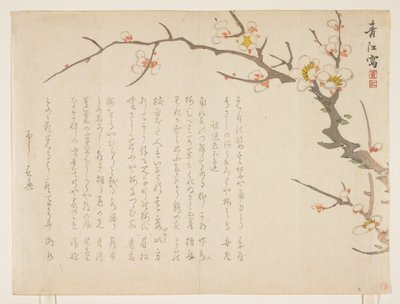 Ciruela en Flor, Enero 1837 de Seik Hashimoto