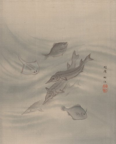 Peces de Seki Shuko