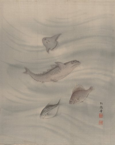 Peces de Seki Shuko