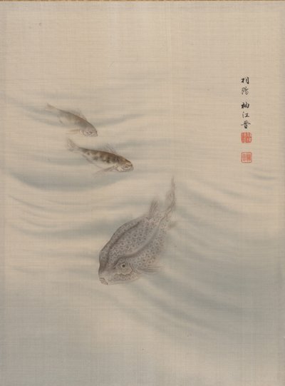 Peces de Seki Shuko