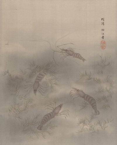 Camarón Ebi, ca. 1890-92 de Seki Shuko