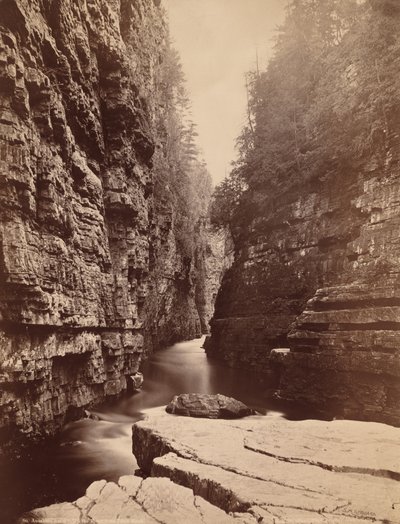 Ausable Chasm - Río Arriba desde Table Rock de Seneca Ray Stoddard