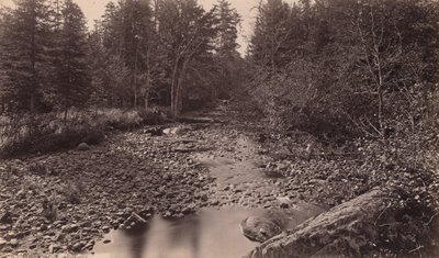 Río Marion en el campamento de Bassett de Seneca Ray Stoddard
