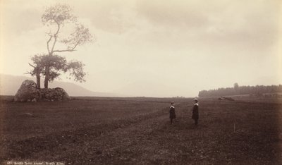 Sur desde Ames, Elba Norte,c. 1888 (foto) de Seneca Ray Stoddard