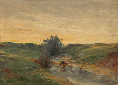 Lavandera junto al arroyo al atardecer de Serafin Maurer