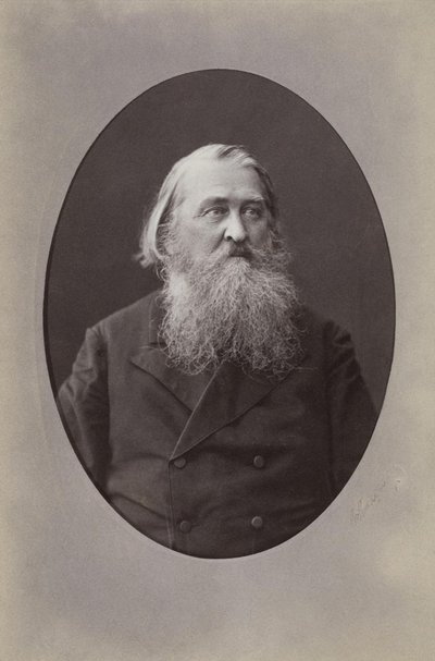 Retrato del poeta Aleksey Nikolayevich Pleshcheyev 1825-1893, 1870 de Sergei Lvovich Levitsky
