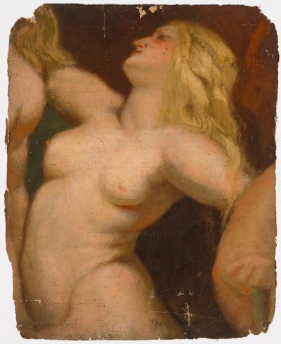 Desnudo de Severin Falkman