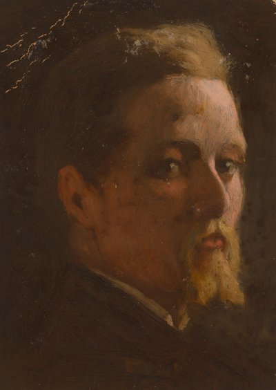 Retrato de un hombre de Severin Falkman