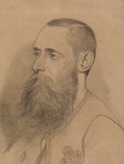 Retrato de un hombre con barba de Severin Falkman